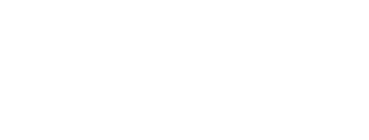 MAPTSS