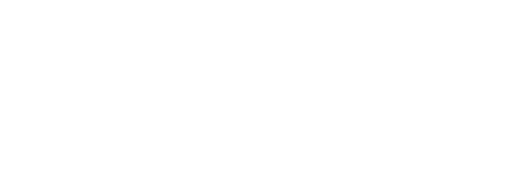 Nanca Bir